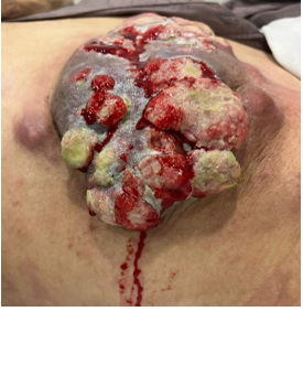 Description of image