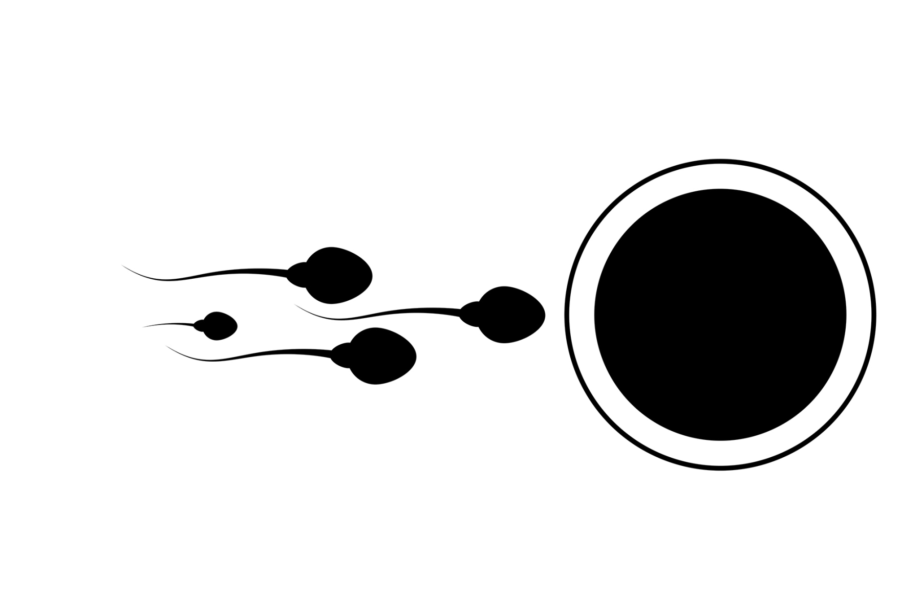 Description of image