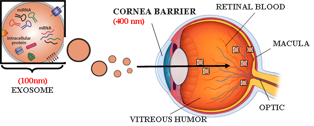 Eye Diagram